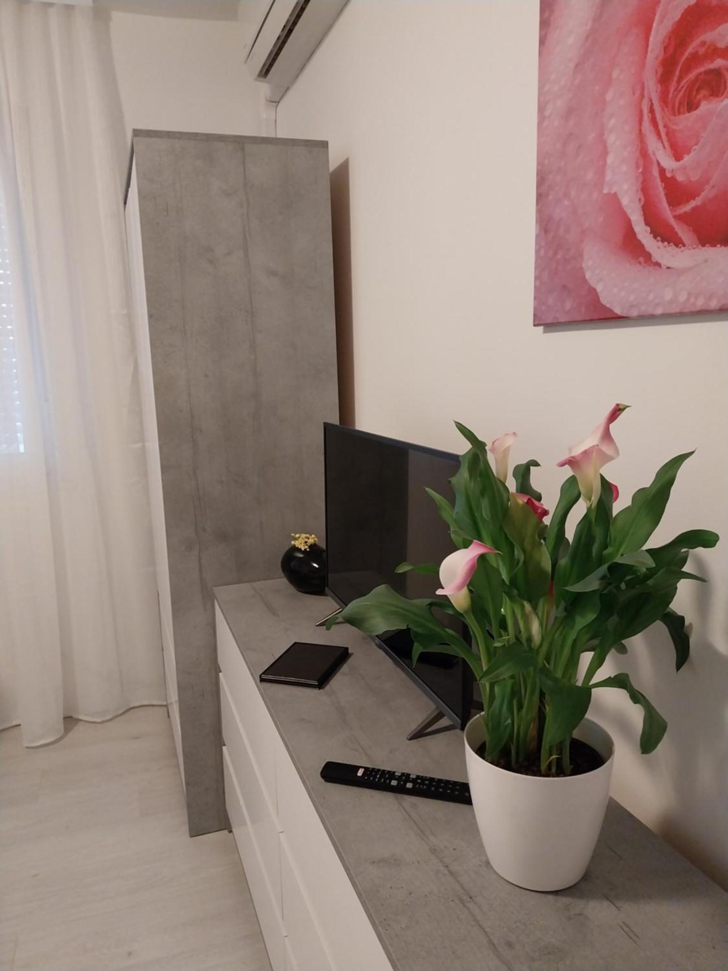 Apartment Studio M Pula